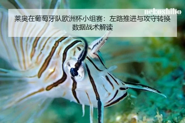 lai-ao-zai-pu-tao-ya-dui-ou-zhou-bei-xiao-zu-sai-zuo-lu-tui-jin-yu-gong-shou-zhuan-huan-shu-ju-zhan-shu-jie-du-2-524.jpg