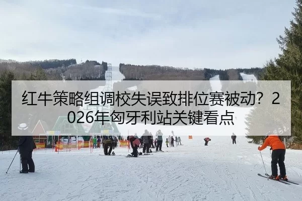 hong-niu-ce-lve-zu-diao-xiao-shi-wu-zhi-pai-wei-sai-bei-dong-nian-xiong-ya-li-zhan-guan-jian-kan-dian-3-385.jpg